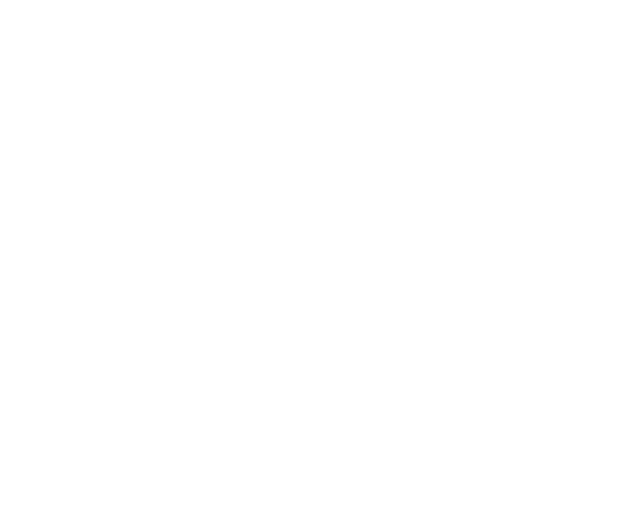 Plan Premium Avanzado